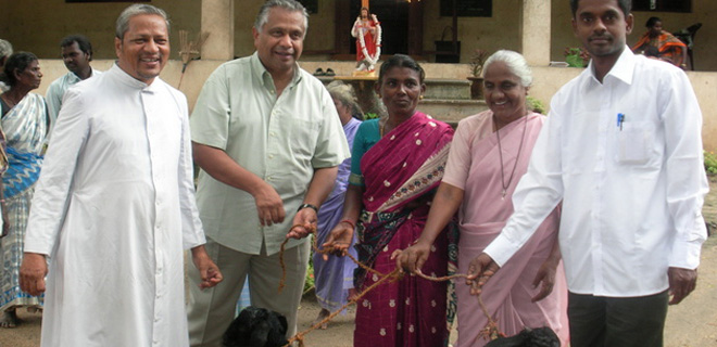 Distributing goats to 100 widows of the Movement with help mobilized by Fr.Britto Berchmans