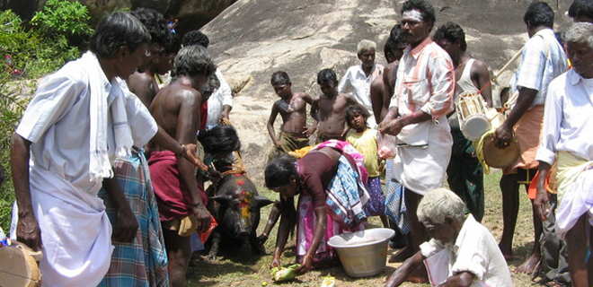 Hindu Puthirai Vannars celebrating their traditional feast to their gods of their community.